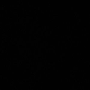 Meet your Posher, Payton